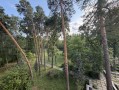 Снаторно-курортный комплекс под реконструкцию 2,73 га Пуща-Водица. Kiev