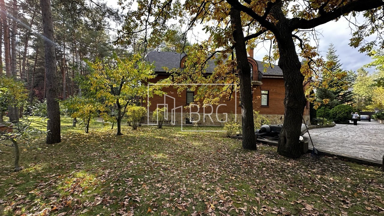 Земельный участок 52 сотки в сосновом лесу Пятихатки. Київська обл