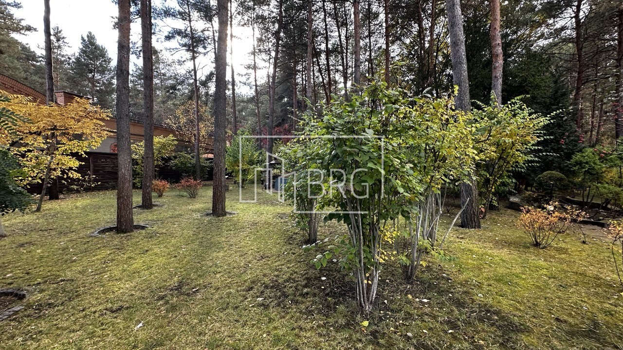 Земельный участок 52 сотки в сосновом лесу Пятихатки. Київська обл