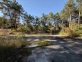 Земельный участок 0,67га в сосновом лесу КГ Сосновый бор. Київська обл
