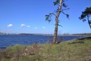 Продажа земельного участка на берегу реки Стугна. Киевская обл
