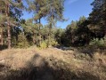 Земельный участок 0,67га в сосновом лесу КГ Сосновый бор. Київська обл