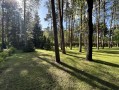 Земельный участок 32 сотки КГ Сосновый бор в сосновом лесу. Київська обл