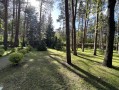 Земельный участок 32 сотки КГ Сосновый бор в сосновом лесу. Київська обл