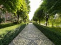 Земельный участок 170 соток с выходом на Козинку. Київська обл