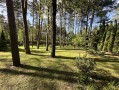 Земельный участок 32 сотки КГ Сосновый бор в сосновом лесу. Київська обл