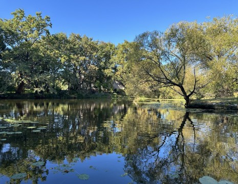 Земельный участок с озером и выходом на Днепр Дамба. Київська обл