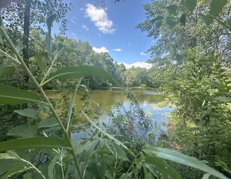 Участок 4 га с озером на территории Башта. Київська обл