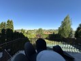 Современный дом 450м с бассейном Лесники. Київська обл