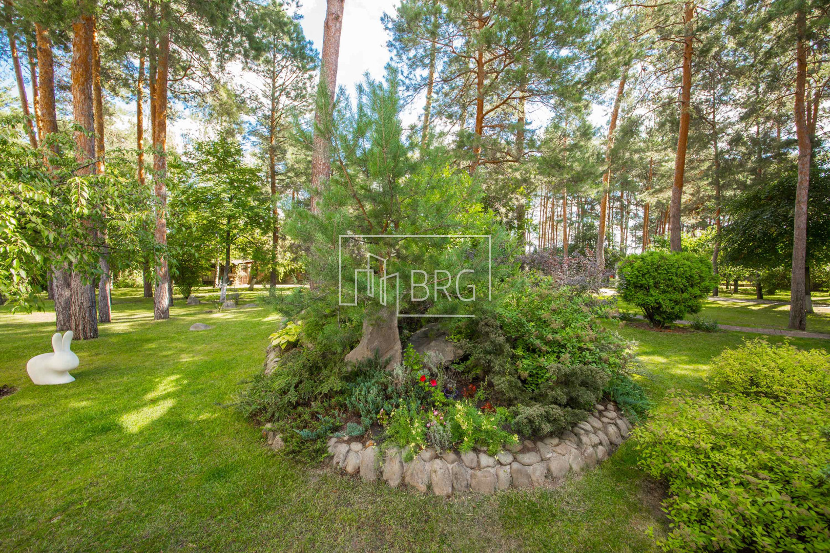 House 720m with perennial pines in Kozin. Kiev region