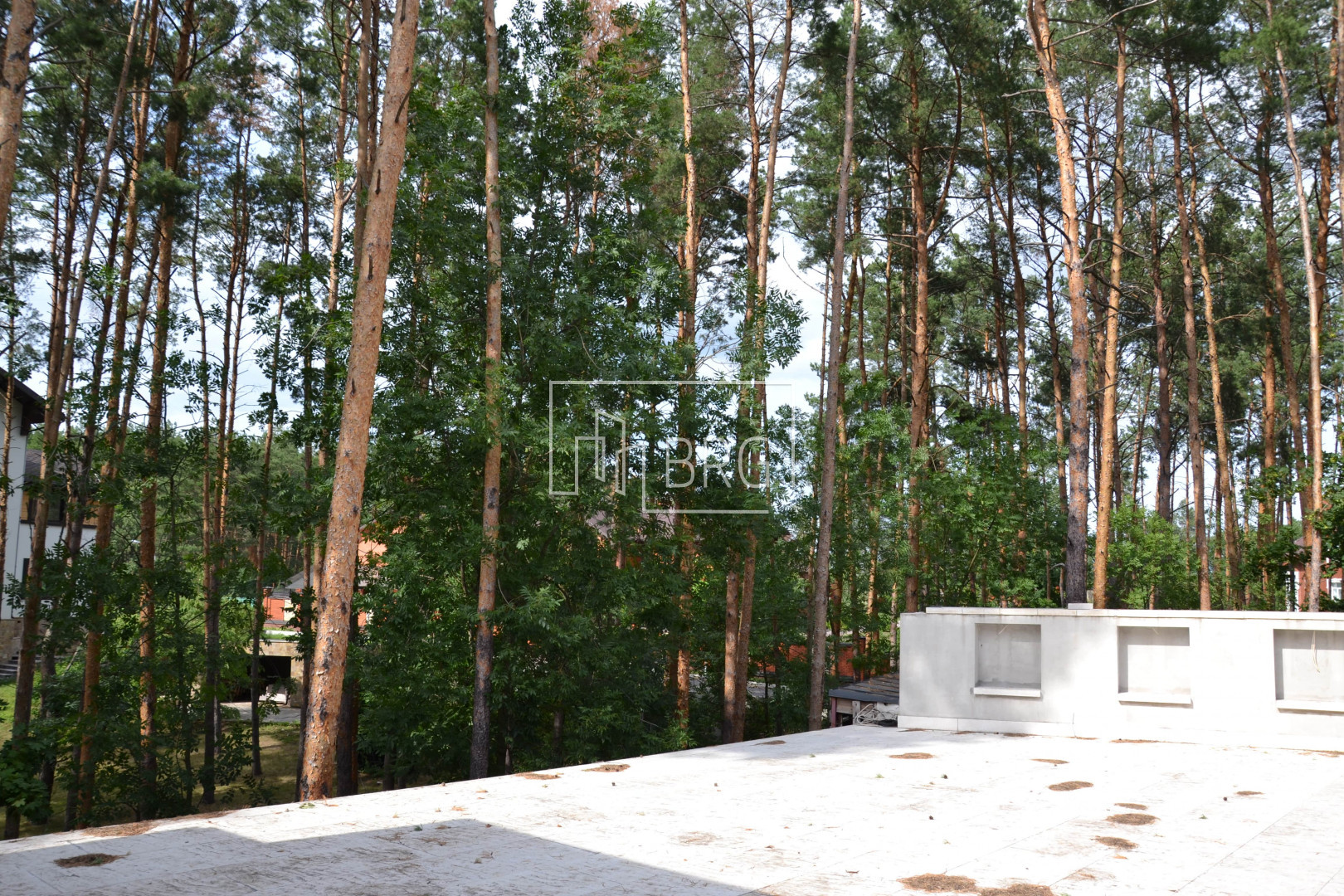 House CG "South", 1302m, pine forest. Kiev region