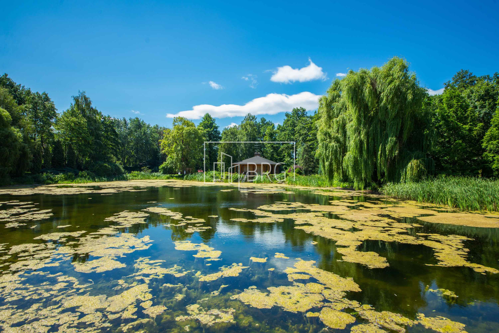 House in Romankovo 1000m with access to the lake. Kiev region