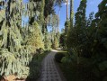 Современный дом 325м с красивым природным ландшафтом коттеджный городок Мархалевка. Київська обл