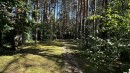 Аренда дома 400м Пятихатки с бассейном в сосновом лесу. Київська обл