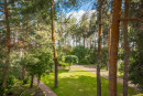 House 720m with perennial pines in Kozin. Kiev region