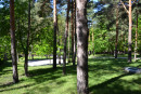 Дом КГ Сосновый бор 800м в сосновом лесу. Kiev region