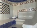 Дом 470 с бассейном Лесники. Київська обл