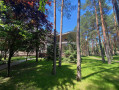 Дом 919м в сосновом лесу Козин Конча-Заспа. Kiev region
