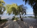 Новый современный дом 110м первая линия Днепра Осокорки. Київ