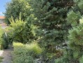 Новый современный дом 110м первая линия Днепра Осокорки. Київ