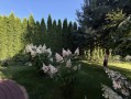Дом 840м с выходом на Козинку Козин. Киевская обл