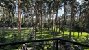 Особняк 700м с соснами на территории в Рудыках. Киевская обл